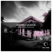 Andrea Giudice - Sweat Like Penguin