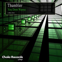 Thumbler - You Dont Wanna