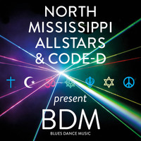 North Mississippi Allstars - BDM Blues Dance Music (Explicit)