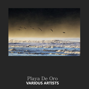 Various Artists - Playa De Oro