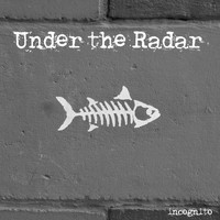Under the Radar - Incognito