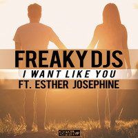 Freaky DJs - I Want Like You