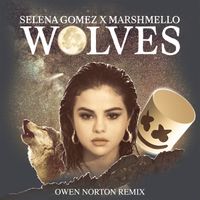 Selena Gomez, Marshmello - Wolves (Owen Norton Remix)