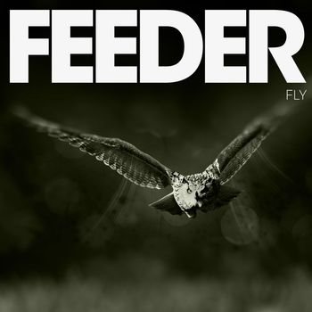 Feeder - Fly