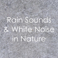 Relaxing Spa Music, Mindfulness Meditation Music Spa Maestro, Spa Relaxation - 12 Background Rain Tracks: Loopable Storms