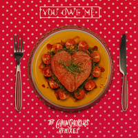 The Chainsmokers - You Owe Me (Remixes)