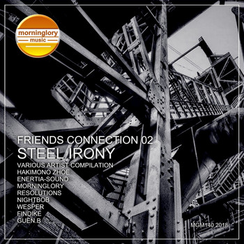 Various Artists - Friends Connection, Vol. 2 Steel Irony