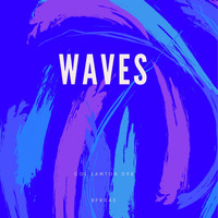 Col Lawton D90 - Waves