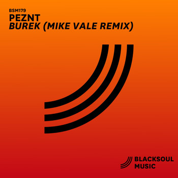 PEZNT - Burek (Mike Vale Remix)