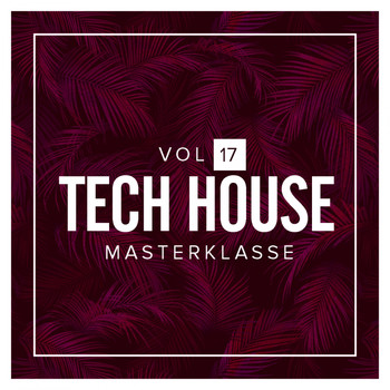 Various Artists - Tech House Masterklasse, Vol.17