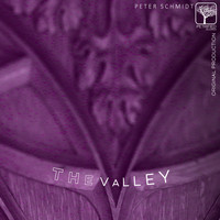 Peter Schmidt - The Valley