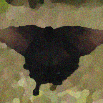 Crawford - Black