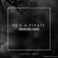 Sarvesh Arya - He's A Pirate (Orchestral Cover)