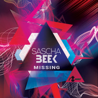 Sascha Beek - Missing