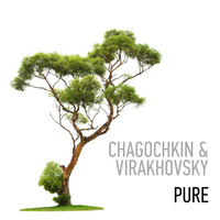 Chagochkin - Pure (feat. Virakhovsky)