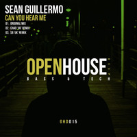 Sean Guillermo - Can You Hear Me
