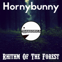 Hornybunny - Rhithm Of The Forest