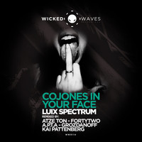 Luix Spectrum - Cojones In Your Face