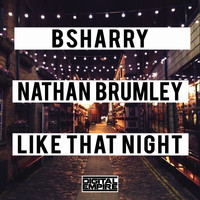 Bsharry feat. Nathan Brumley - Like That Night