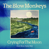 The Blow Monkeys - Crying for the Moon