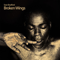 Sean Bradford - Broken Wings