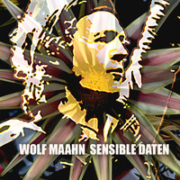Wolf Maahn - Sensible Daten
