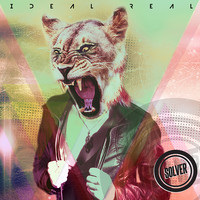 Solver - Ideal Real