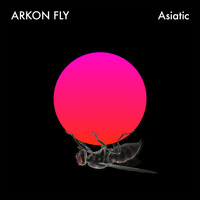 Arkon Fly - Asiatic