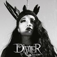 Divier - Denso