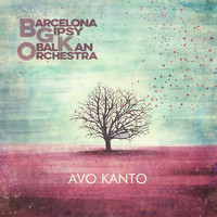 Barcelona Gipsy balKan Orchestra  - Avo Kanto