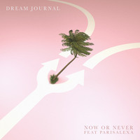 Dream Journal - Now Or Never (feat. ParisAlexa)
