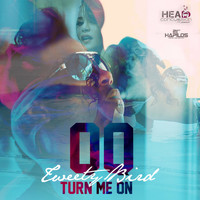 QQ - Tweety Bird (Turn Me on) - Single (Explicit)