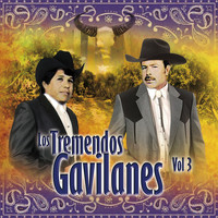 Los Tremendos Gavilanes - Los Tremendos Gavilanes Vol. 3