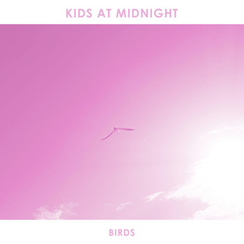 Kids At Midnight - Birds