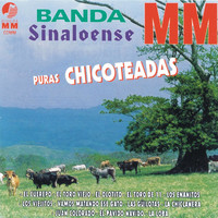 Banda Sinaloense MM - Puras Chicoteadas