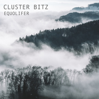 Cluster Bitz - Equolifer