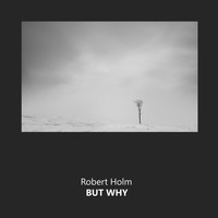 Robert Holm - But Why