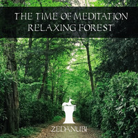 The Time Of Meditation - Relaxing Forest