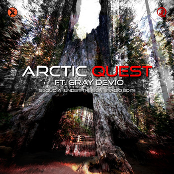 Arctic Quest - Sequoia (Under the Sun)