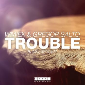 Wiwek & Gregor Salto - Trouble (feat. MC Spyder)