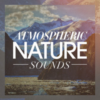 Nature Sound Collection, Sleep Sounds of Nature, Sons da Natureza - Atmospheric Nature Sounds