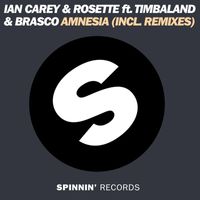 Ian Carey & Rosette - Amnesia (feat. Timbaland & Brasco)