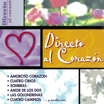 Various Artists - Directo Al Corazón