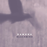 Ramona - Blackbird