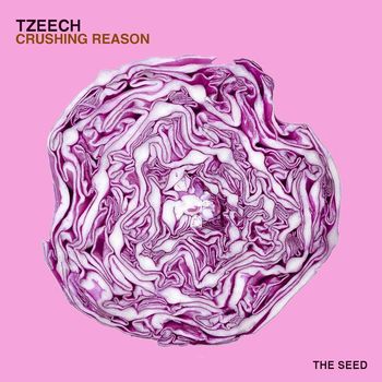 TZEECH - Crushing Reason