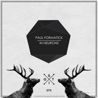 Paul Formatick - In Neurons