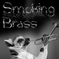 Audio Assassin - Smoking Brass
