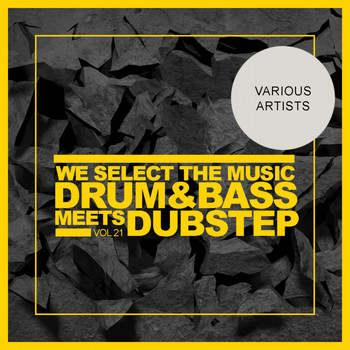 Various Artists - We Select The Music, Vol.21: Drum & Bass Meets Dubstep