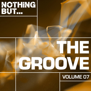 Various Artists - Nothing But... The Groove, Vol. 07