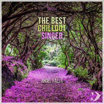 Various Artists - The Best Chillout Singer: Angel Falls